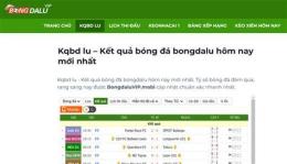 hướng dẫn sử dụng kq bóng đá thế giới