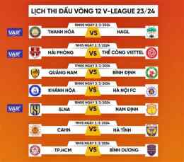 hướng dẫn sử dụng lịch thi đấu bóng đá tuyển việt nam
