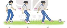 hướng dẫn sử dụng môn bóng đá