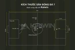hướng dẫn sử dụng nhan bong da net