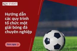 hướng dẫn sử dụng nhận định bóng đá chuyên gia