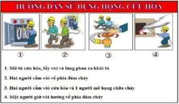 hướng dẫn sử dụng tối nay việt nam có đá bóng không