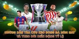 hướng dẫn sử dụng tructiep bong da hom nay