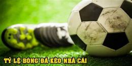 hướng dẫn sử dụng ty le bong da ma cao
