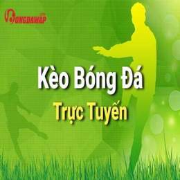 hướng dẫn sử dụng ty le bong da so
