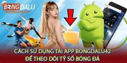 hướng dẫn sử dụng ty so bong da wap