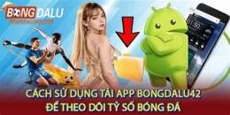 hướng dẫn sử dụng ty so bong da wc