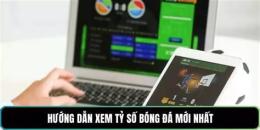 hướng dẫn sử dụng ty so bong da y