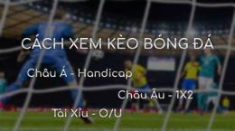hướng dẫn sử dụng xem cá cược bóng đá hôm nay