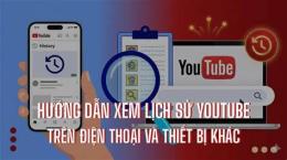 hướng dẫn sử dụng xem dữ liệu bóng đá