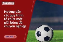 hướng dẫn sử dụng ý kiến chuyên gia bóng đá