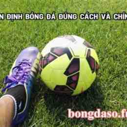i bóng đá