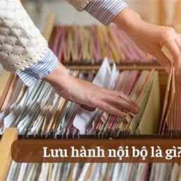 lu hanh noi bo bong da