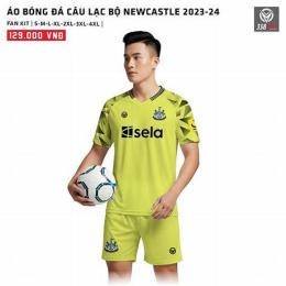 newcastle jets – câu lạc bộ bóng đá auckland