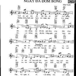 ngay da dom bong