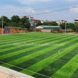 sân bóng đa sỹ