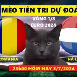 tiên tri dự đoán bóng đá