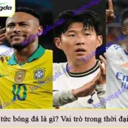 tin tuc 24h bong da the thao giai tri