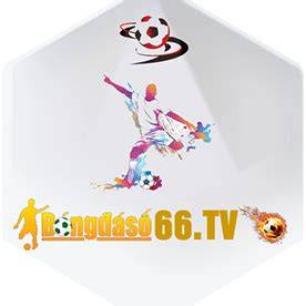 tính năng nổi bật bóng đá số dữ liệu 66