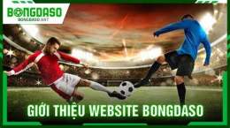 tính năng nổi bật bongdaso dữ liệu bóng đá số 1