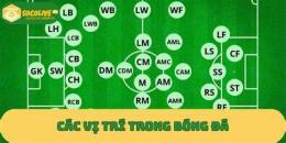 tính năng nổi bật các vị trí trong đá bóng