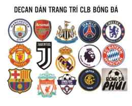 tính năng nổi bật câu lạc bộ bóng đá nice