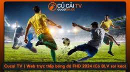tính năng nổi bật cucai tv bóng đá