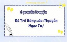 tính năng nổi bật đá trổ bông đọc hiểu