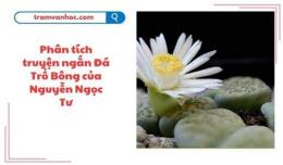 tính năng nổi bật đá trổ bông nguyễn ngọc tư