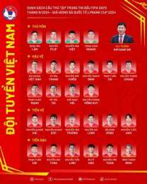 tính năng nổi bật danh sách đội tuyển bóng đá việt nam