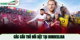 tính năng nổi bật kèo bóng đá bundesliga