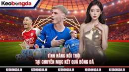 tính năng nổi bật kết quả bóng đá 88