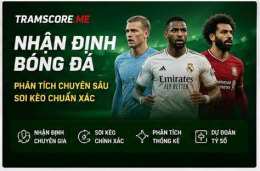 tính năng nổi bật livescore bong da tramscore