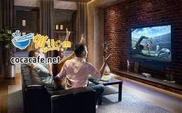 tính năng nổi bật mì tôm tv trực tiếp bóng đá hôm nay