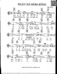 tính năng nổi bật ngay da dom bong
