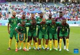tính năng nổi bật người chơi đội tuyển bóng đá quốc gia cameroon