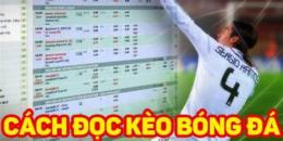tính năng nổi bật phân tích kèo bóng đá