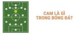 tính năng nổi bật tất cả vị trí trong bóng đá