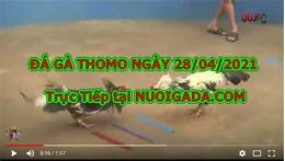 tính năng nổi bật trực tiếp đá gà sa bông 67