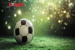 tính năng nổi bật tỷ lệ bóng đá pháp