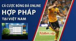 tính năng nổi bật web ca do bong da