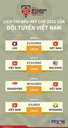 tính năng nổi bật xem kết quả bóng đá aff cup