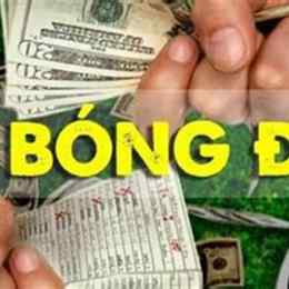 tip dự đoán bóng đá