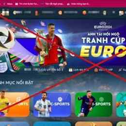 trang cá độ đá bóng việt nam