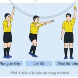 trọng tài bóng đá