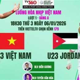 tư vấn bóng đá hôm nay