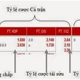tỷ lệ cá cược bóng đá u23 việt nam