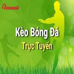 tyle bong da