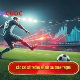 tylecacuoc bóng da