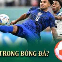 xem video bong da